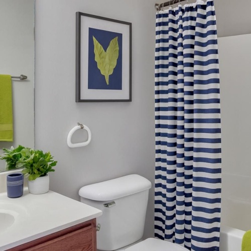 Bathroom options with thoughtful details a bathroom with a sink and a toilet and a tub